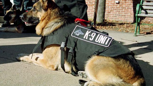 Man bites dog - then sues police canine's act 