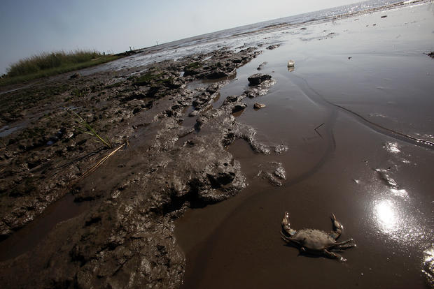 One Year Anniversary Of BP Oil Spill Approaches 