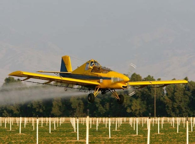 Pesticide causes lower IQ 