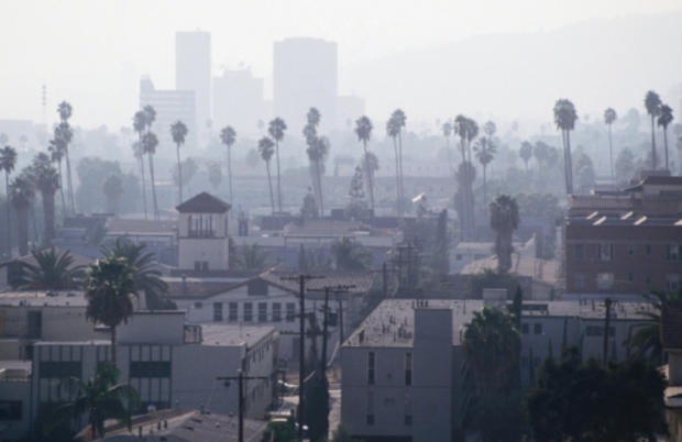 Palm trees and smog pollution over buildings in Los Angeles 