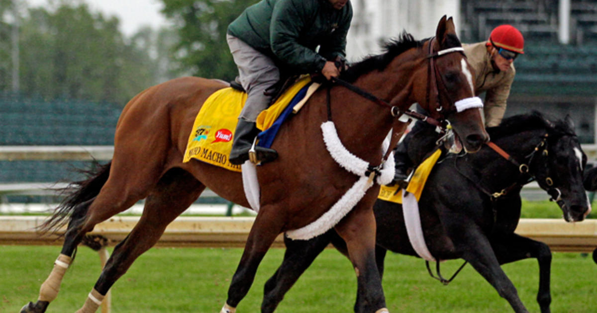 Kentucky Derby 2011: The 137th Run for the Roses at Churchill