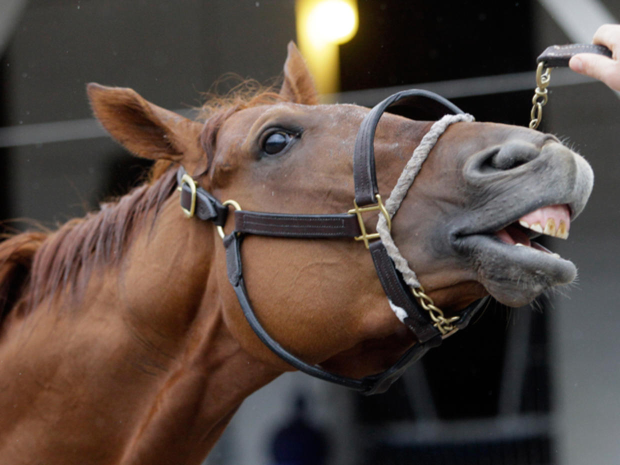 2011 Kentucky Derby