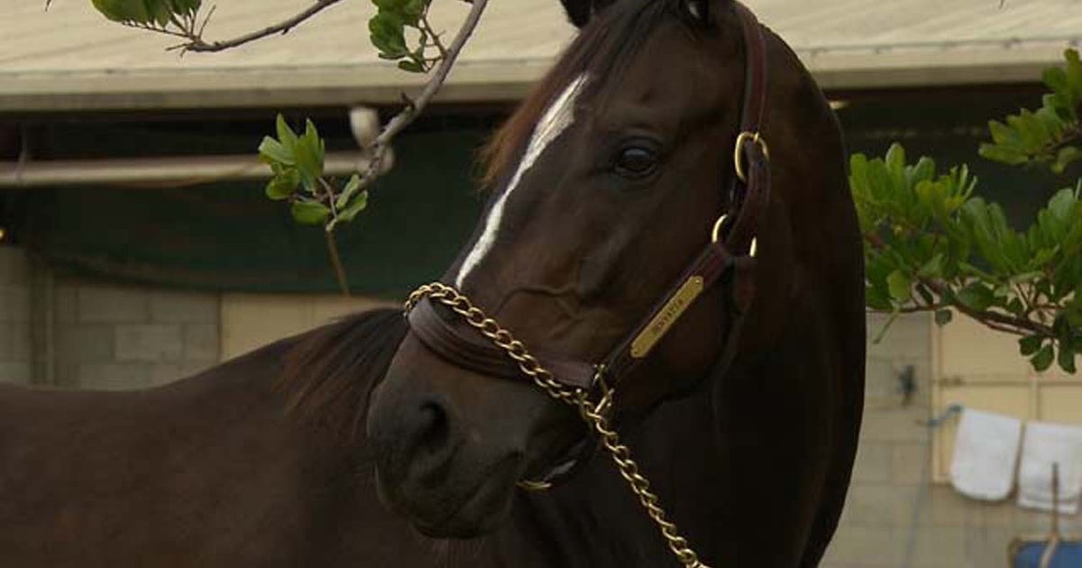 Another look at Zenyatta