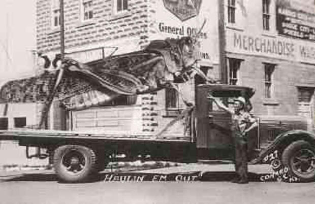 Postcard of giant grasshopper on a truck by Frank D. "Pop" Conard 