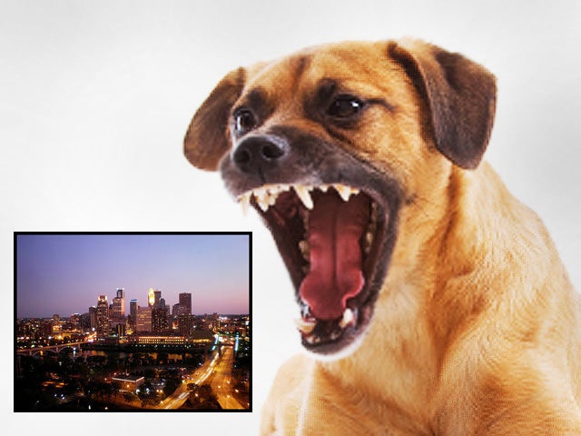 dog bites, dogs, cities, minneapolis, minnesota 