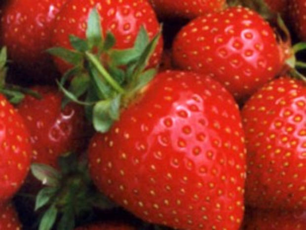 Guelde Strawberries 
