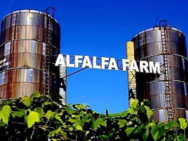 alfalfa farm 