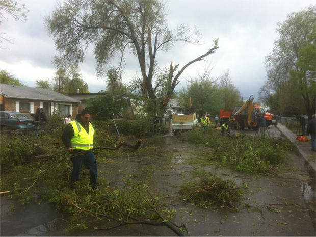 tree-cleanup-in-commerce-ci.jpg 