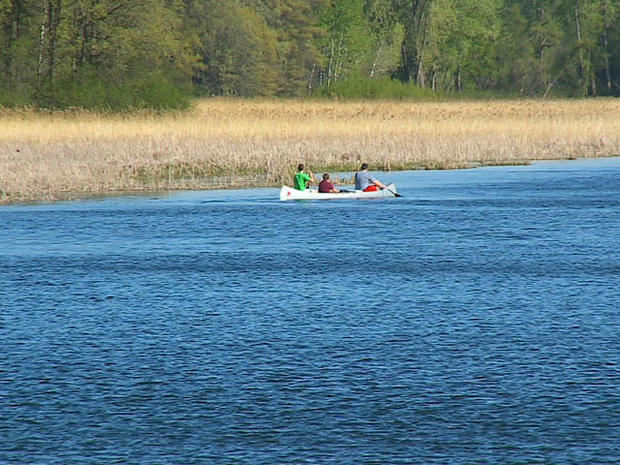 Lake Minnetonka Canoe 