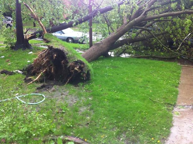 tree-down-tornado.jpg 