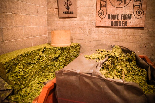 Steiner and Stiegl hops 