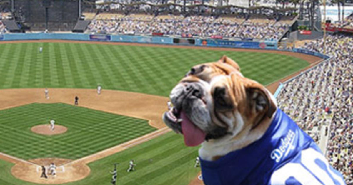 Bark In The Park at Dodger Stadium