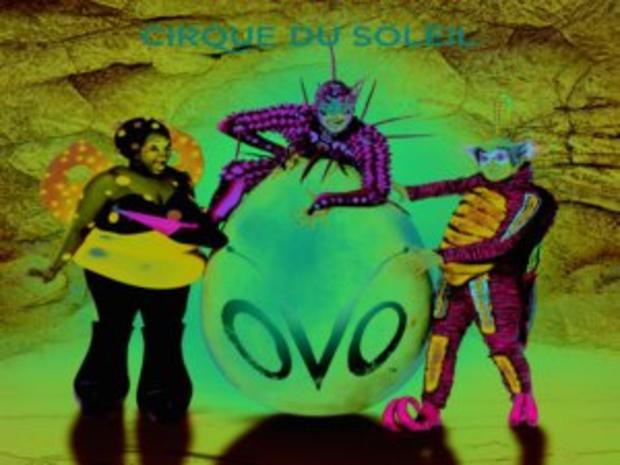 6/3 Family, Kids &amp; Pets - Ovo by Cirque Du Soleil 