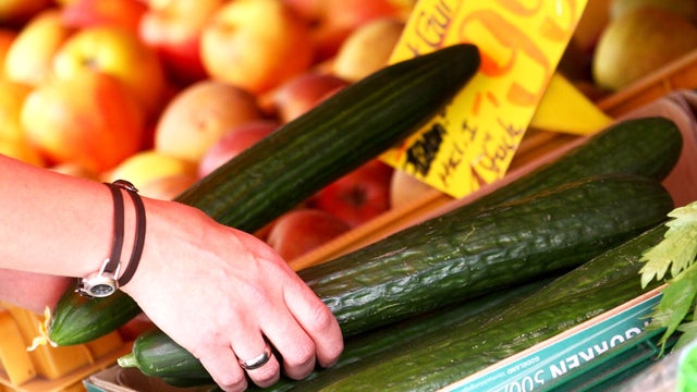 E. coli: 5 life-saving facts you must know