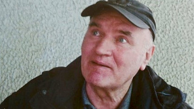 es_mladic_531_1.jpg 