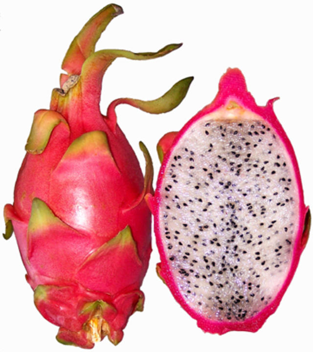 strange fleshy fruit with seeds