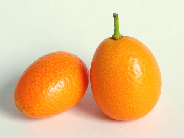 Kumquat_Wikimedia_David_R._Tribble.jpg 
