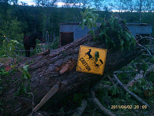 horse crossing sign 