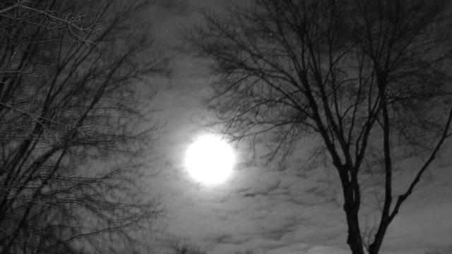 moon-raise_nadia373.jpg 
