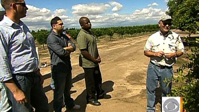 Marines learn to farm 