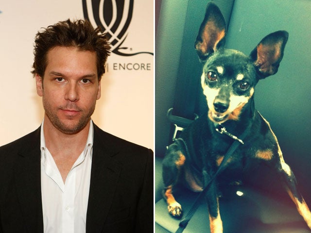 Dane Cook finds missing dog, thanks Twitter followers - CBS News
