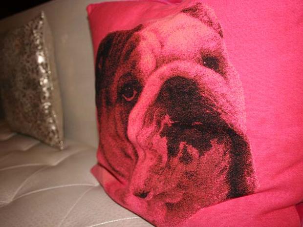 Bulldog Pillow 