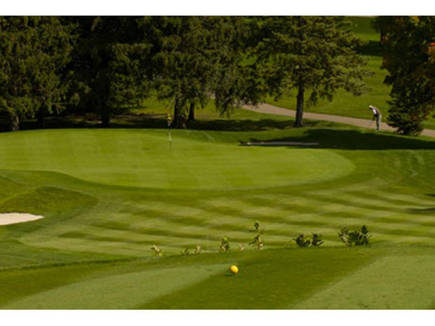 Northfield Golf Club 