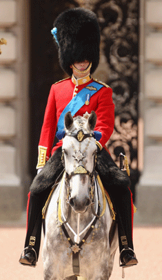 002-brit-prirnce-william-ho.gif 