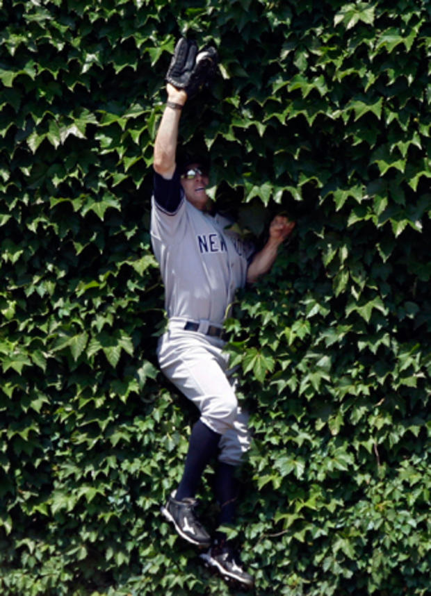 Brett Gardner makes a leaping catch in the ivy on the outfield wall  