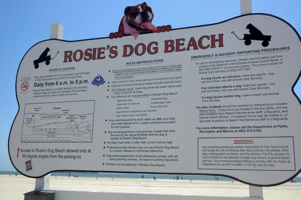 Rosie's Dog Beach 