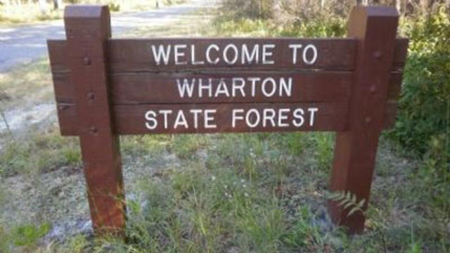 wharton-forest-sign-med-dl.jpg 