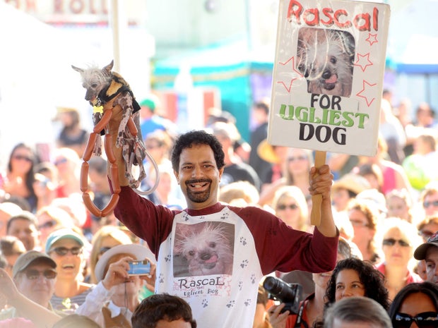 Dane Andrew campaigns Rascal in the 2011 World's Ugliest Dog Contest on June 24, 2011, in Petaluma, Calif. 