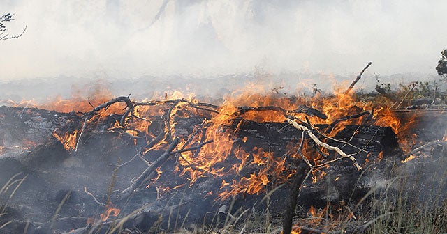 Los Alamos lab still on hold; Gov't monitors air CBS News