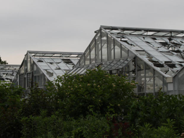 garfield-park-propagation-greenhouses2.jpg 