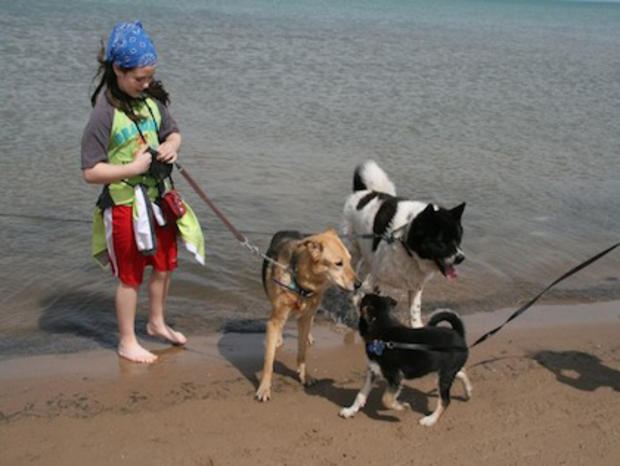 9.16.11 – Family &amp; Pets Dog Parks - 3 Happy dogs at Montrose Beach-Kenaz-Mara 