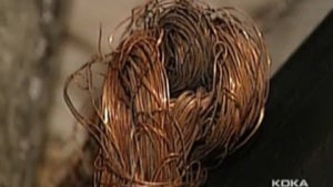 copper_wire-kdka.jpg 
