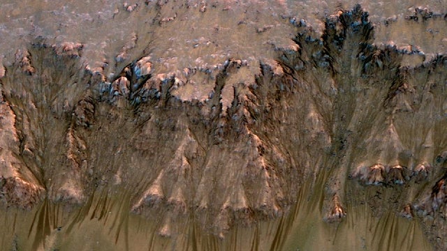 Oblique view of warm season flows  