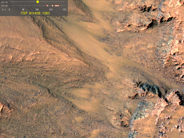 Dark flows in Newton Crater  