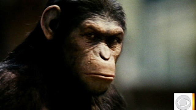 es_0808_APES_MOVIE2.jpg 