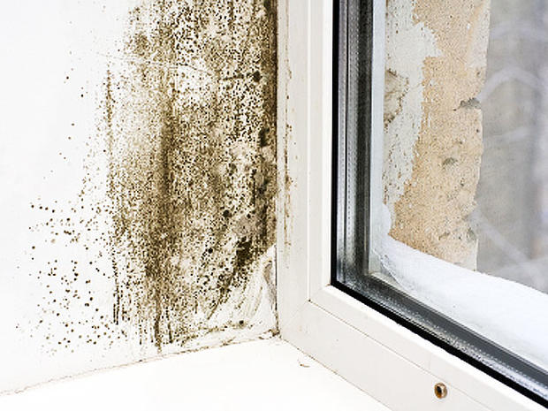 mold, mildew, dirt, wall, window, corner, stock, 4x3 