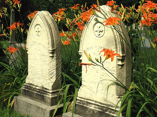 Mount Auburn Cemetery 