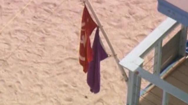 beachwarning-flags.jpg 