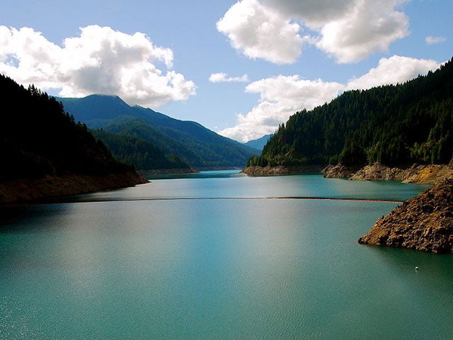 oregon.jpg 