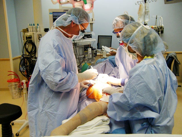 orthopedic, surgery 