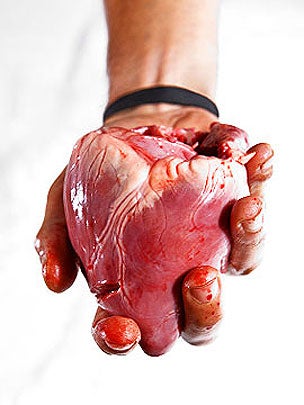 heart-in-hand.jpg 