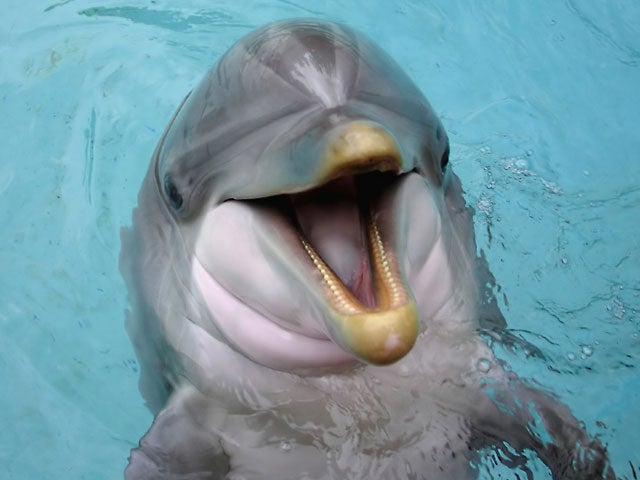 Top 10 cheating cities 