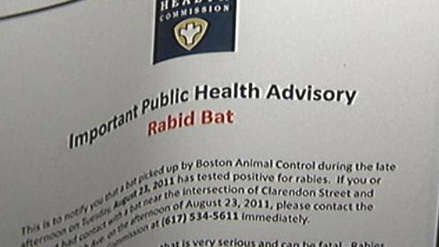 rabid-bat-advisory.jpg 