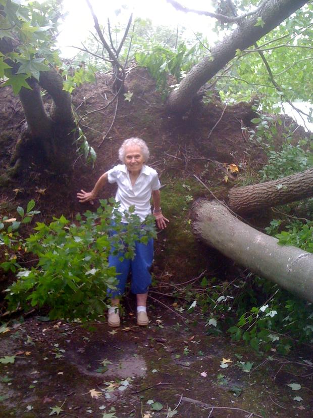 submitted-by-nancy-seymour-at-least-28-trees-fell-last-night-all-at-the-same-time-and-hit-my-house-the-lake-is-behind-the-root-mass-that-is-about-eight-feet-tall.jpg 
