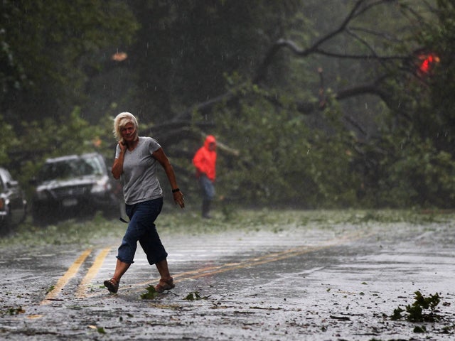 A woman walks by downed trees 