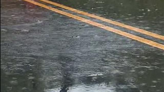wet-road-flood.jpg 